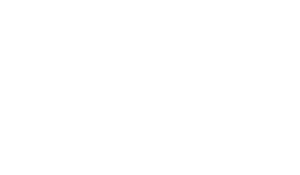 SPIN DGVB e.V. Logo